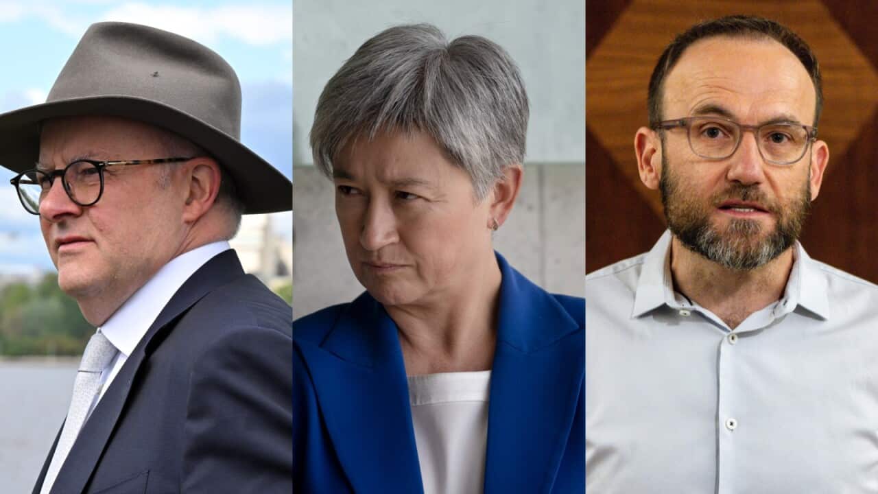 A composite image of Anthony Albanese, Penny Wong and Adam Bandt.