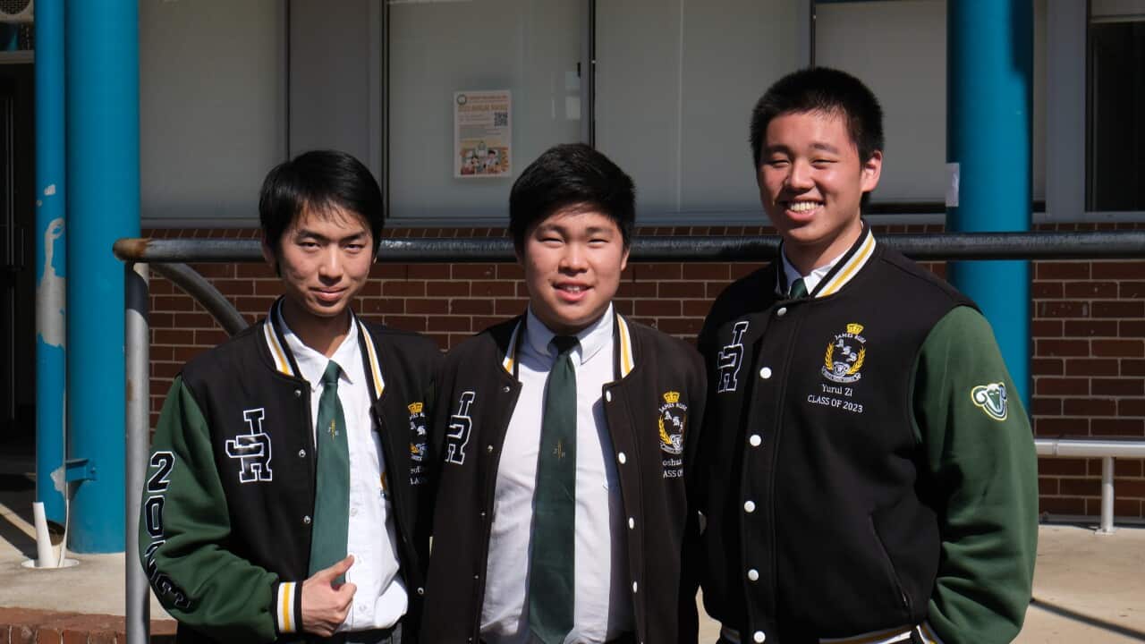 Image for read more article ''