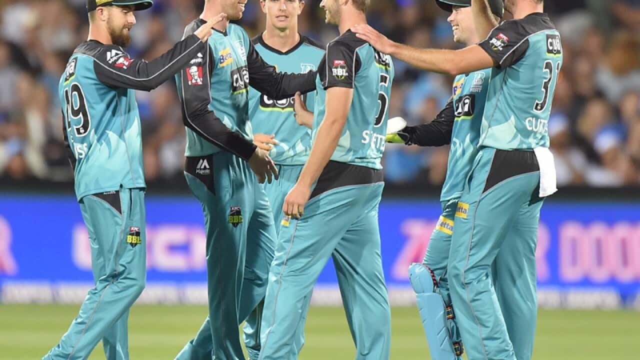 Brisbane Heat players celebrate after claiming a wicket