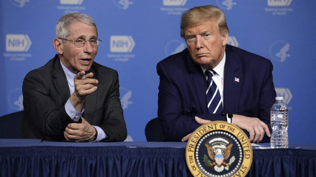 President Donald Trump and Dr Anthony Fauci, during a coronavirus roundtable briefing in March.
