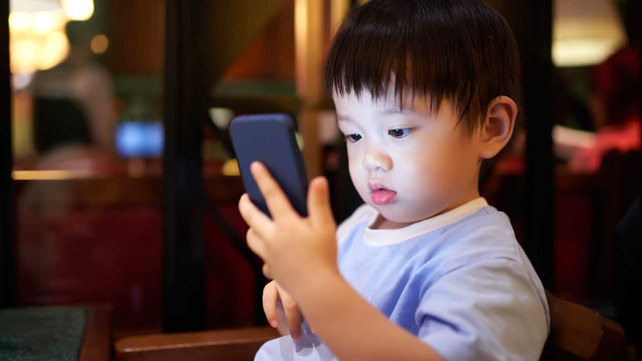 Image for read more article ''