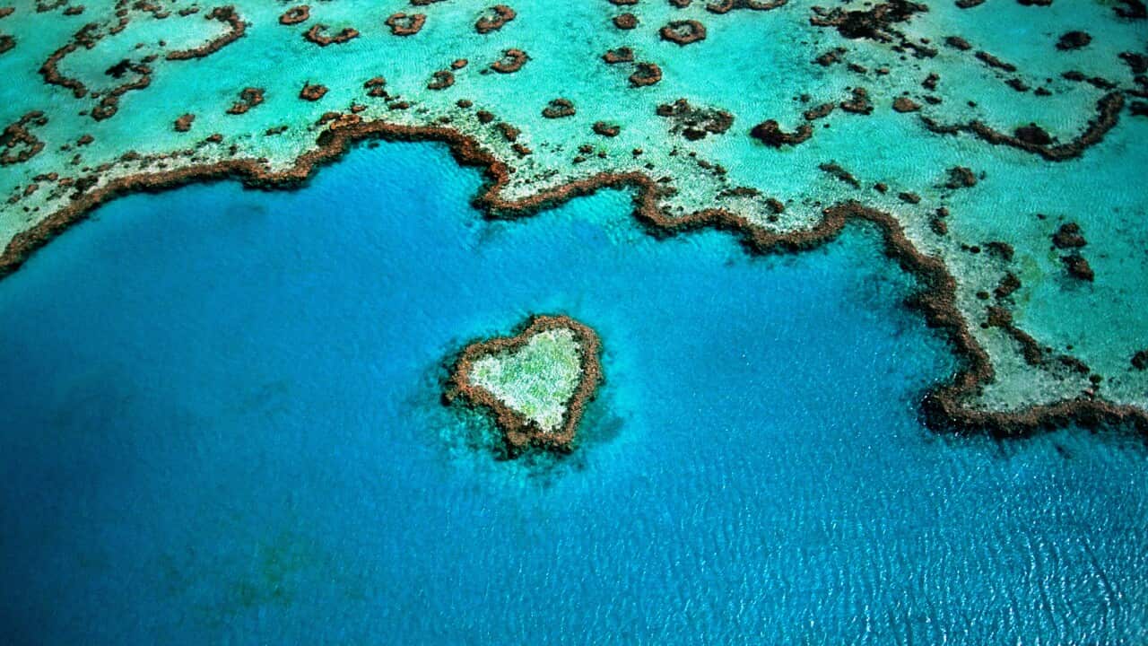 the Great Barrier Reef