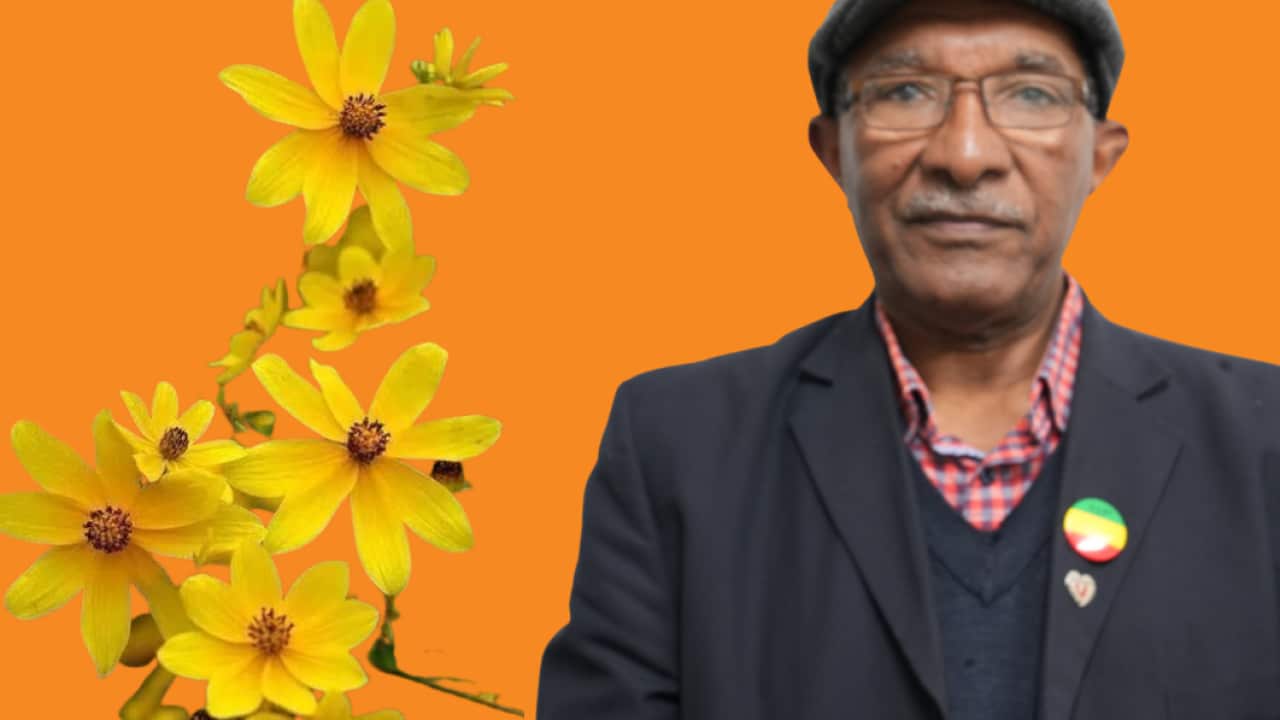 Nibret Alemu Eth NY 2016.png