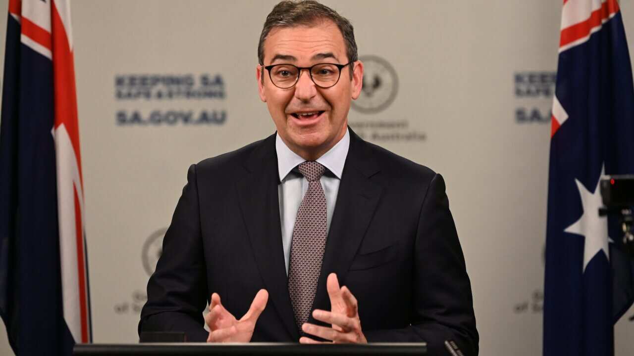 South Australia Premier Steven Marshall speaks to the media during a press conference in Adelaide, Tuesday, July 27, 2021. (AAP Image/Pool, Naomi Jellicoe) NO ARCHIVING