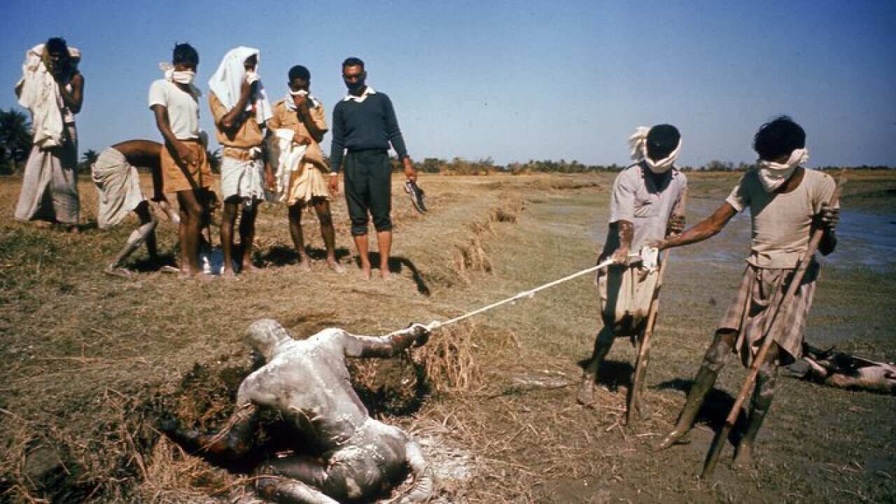 Cyclone Aftermath In East Pakistan