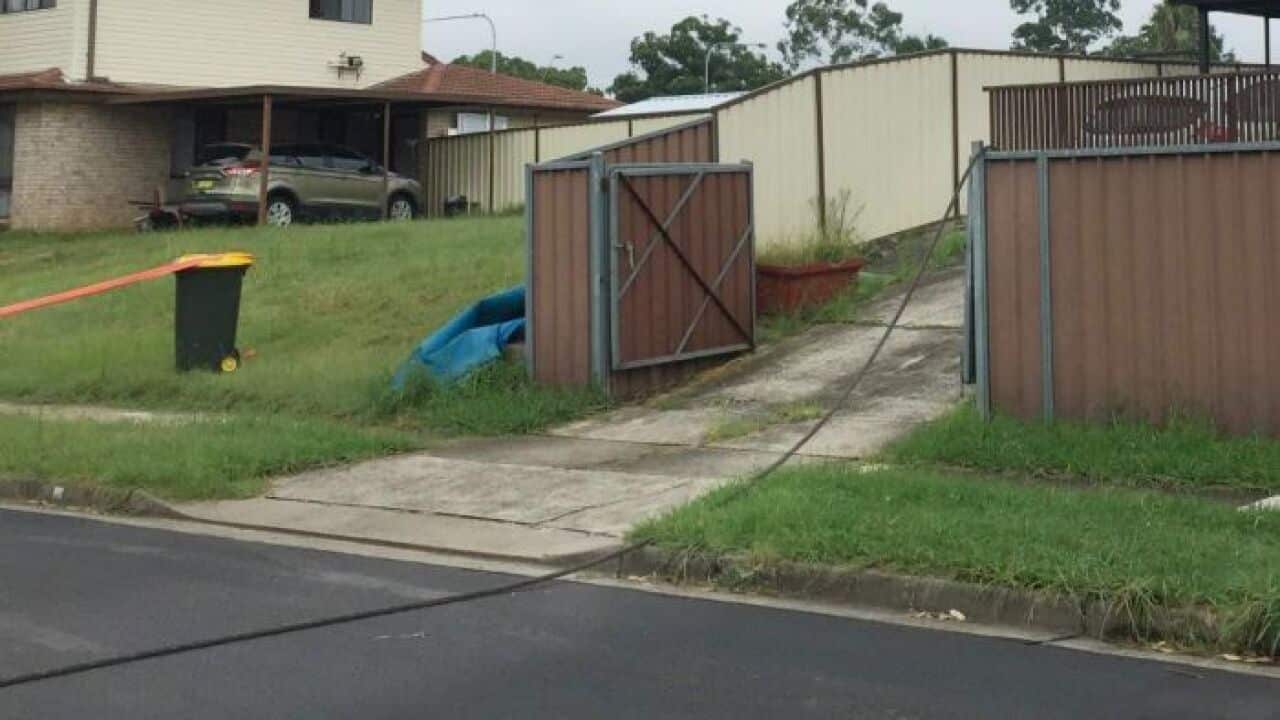 High-voltage power line falls from tower in Sydney's west.