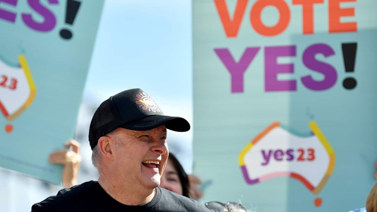 ANTHONY ALBANESE RUN FOR THE YES