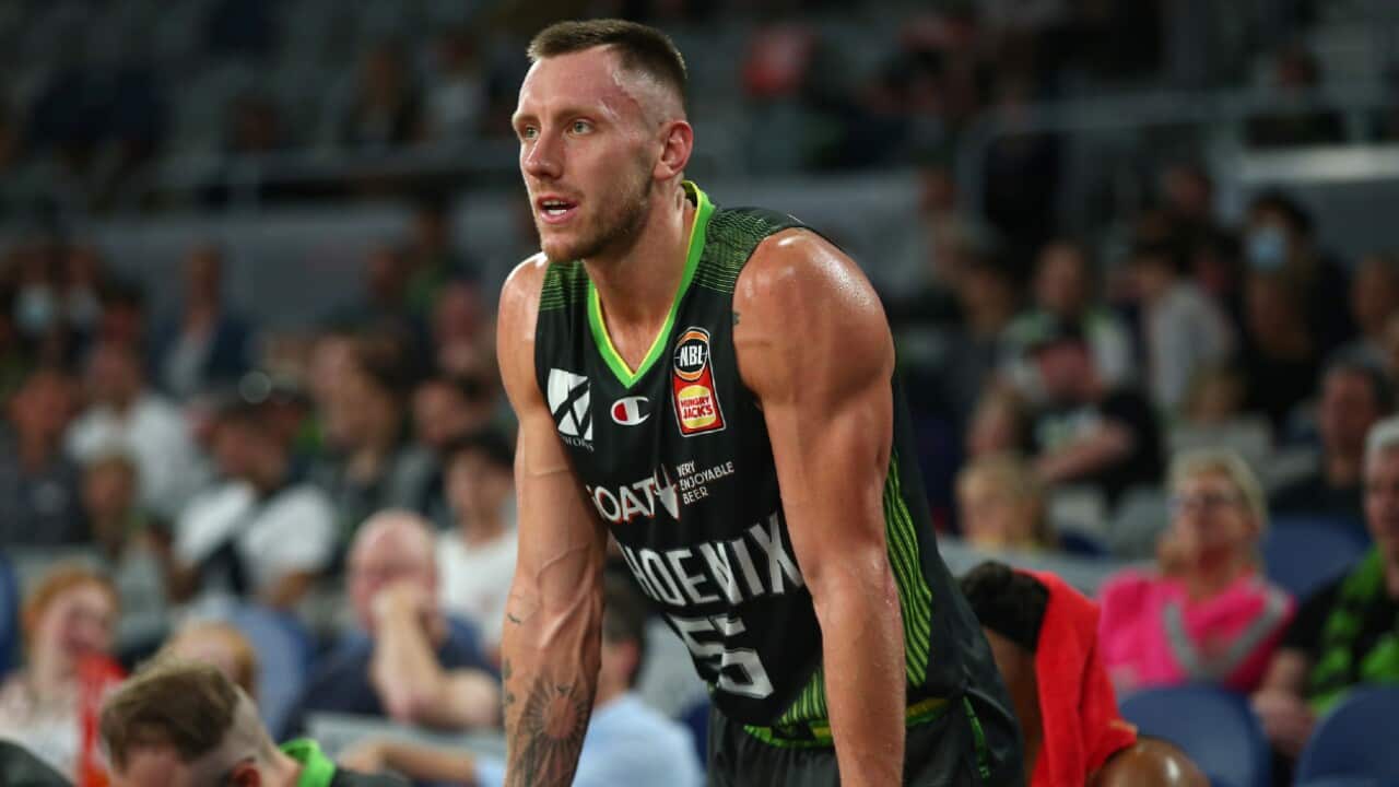 Mitch Creek looks on during a South East Melbourne Phoenix match