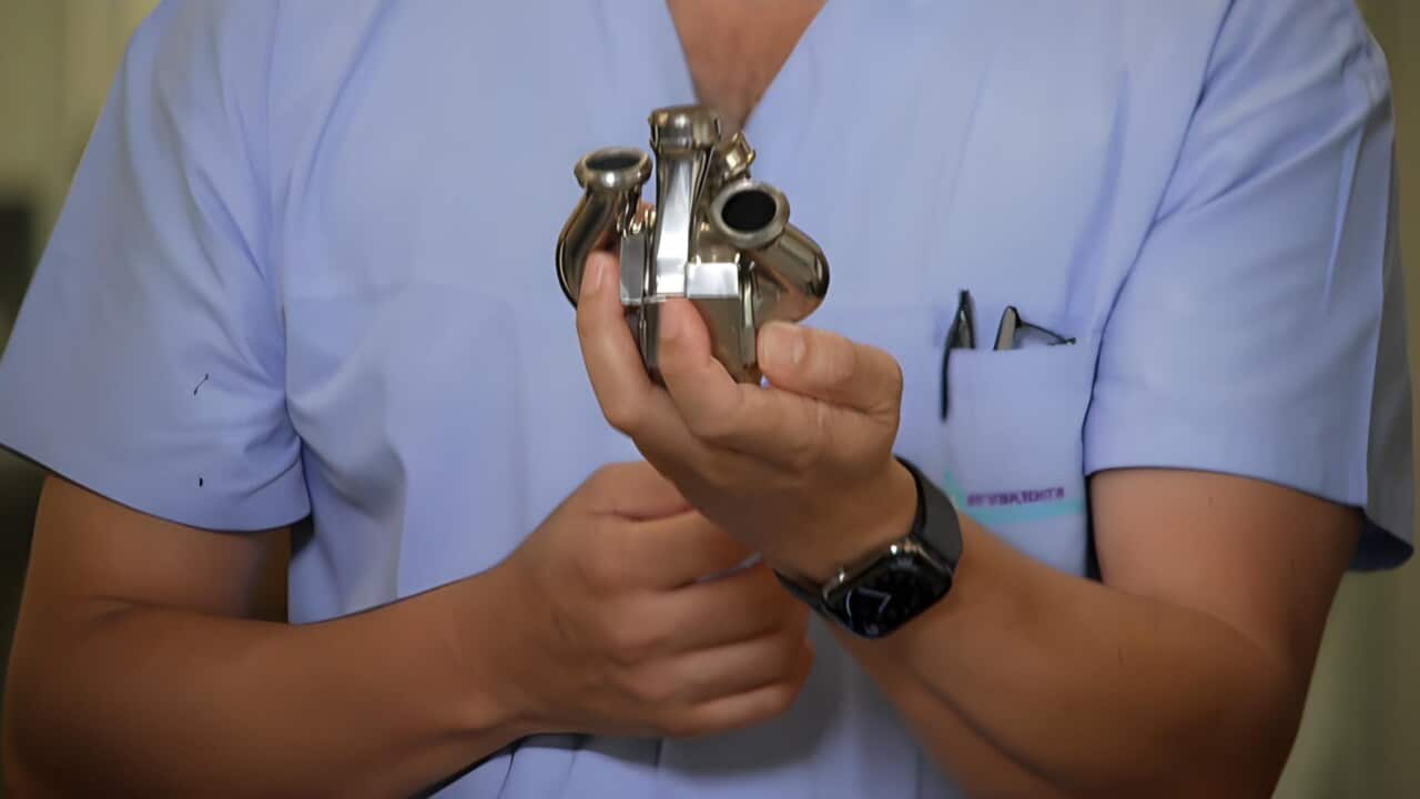 The artificial heart (SBS).jpg