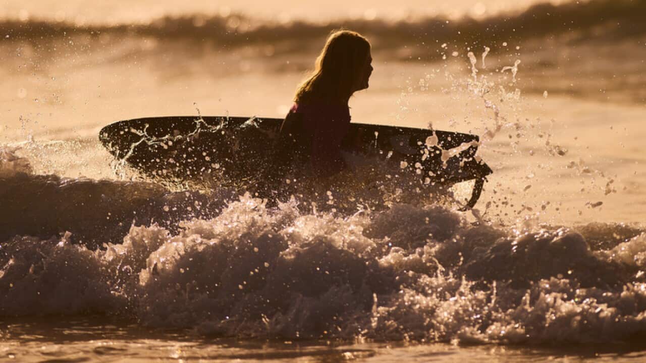 Surfers Enjoy Sunrise at Freshwater Beach