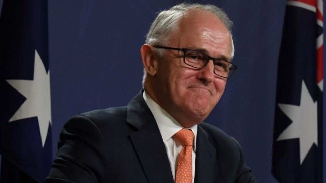 Malcolm Turnbull's Twitter following full of fakes