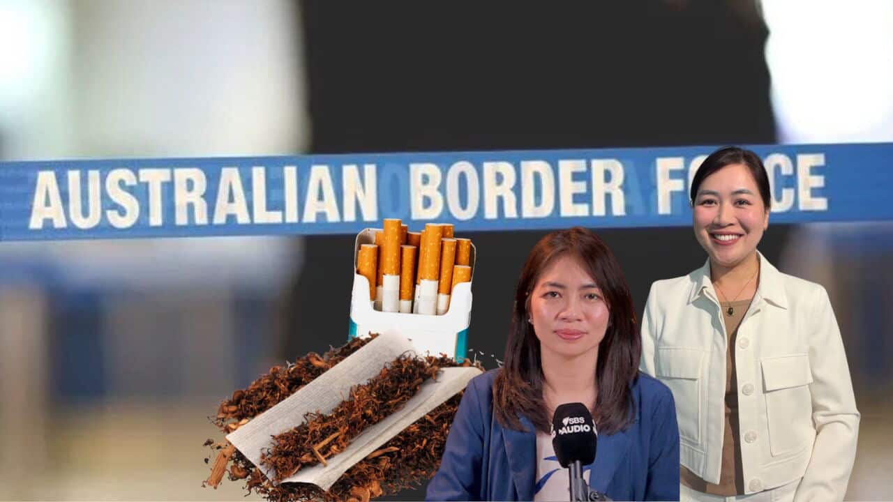 Copy of News+UServices YT Thumbnails.jpg