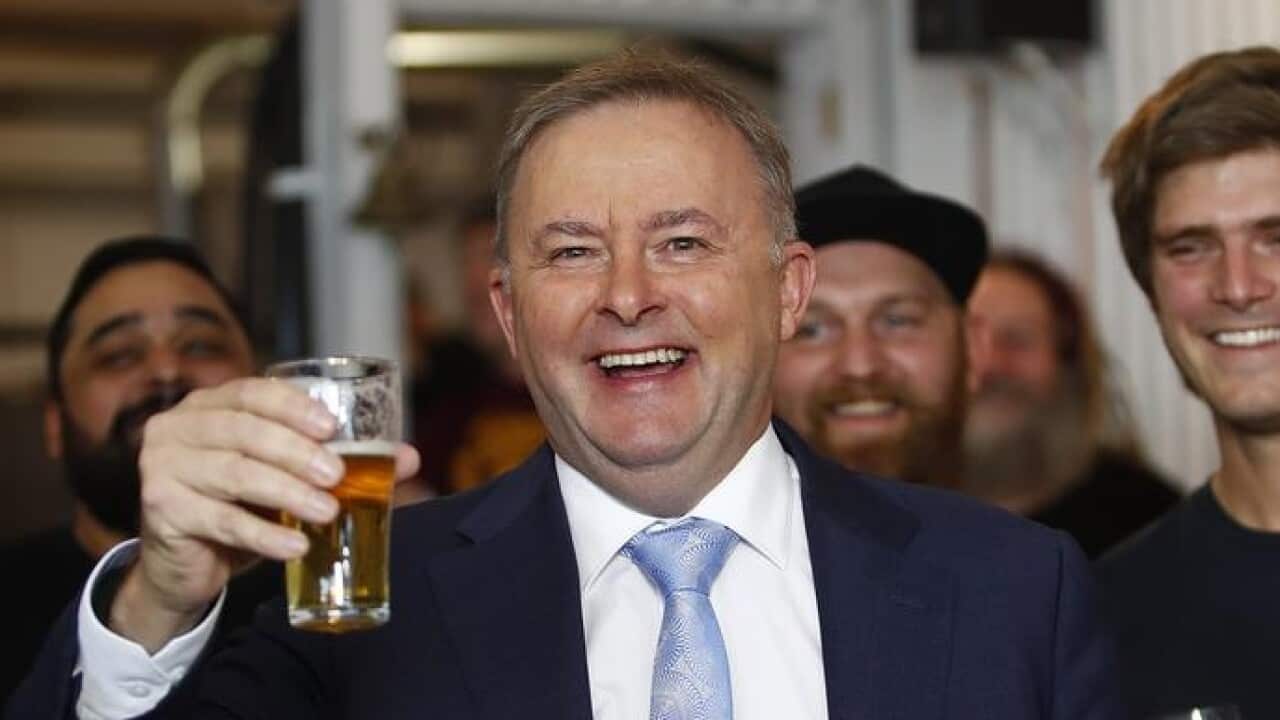 Labor frontbencher Anthony Albanese raises a glass of beer