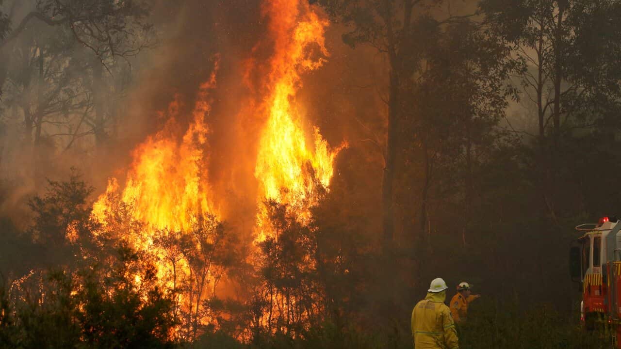 Firefighters attempt to contain an out of control fire at Avery's lane, near Stanford Merthyr, west of Newcastle, Tuesday, December 3, 2019. (AAP Image/Darren Pateman) NO ARCHIVING
