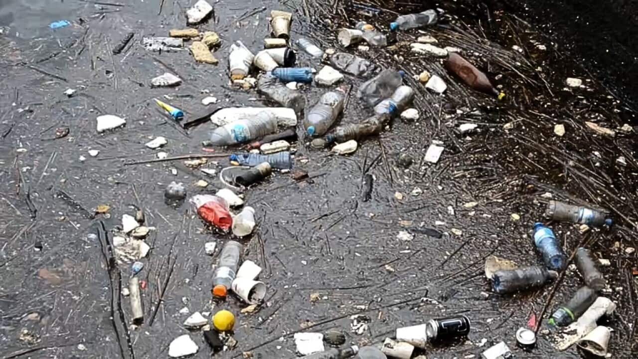 Floating plastic waste (SBS).jpg