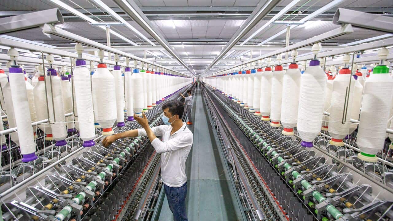 新疆境內的棉花廠.