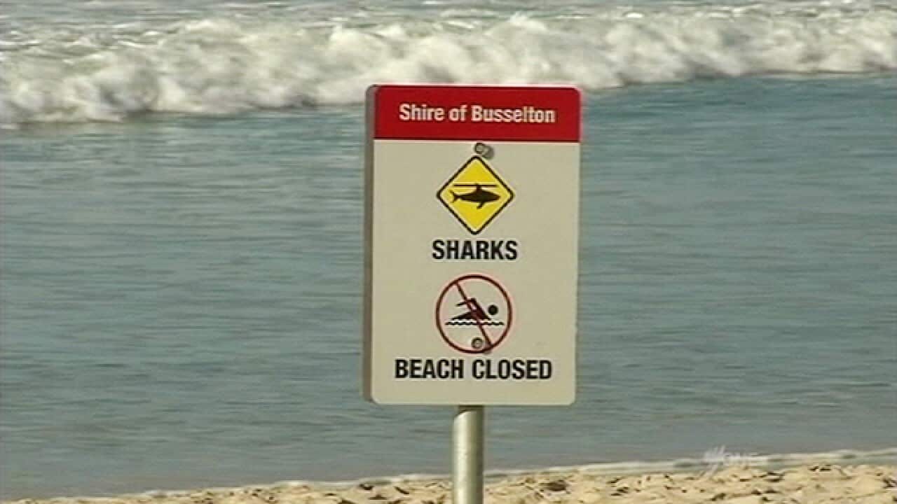 shark_sign_517802924