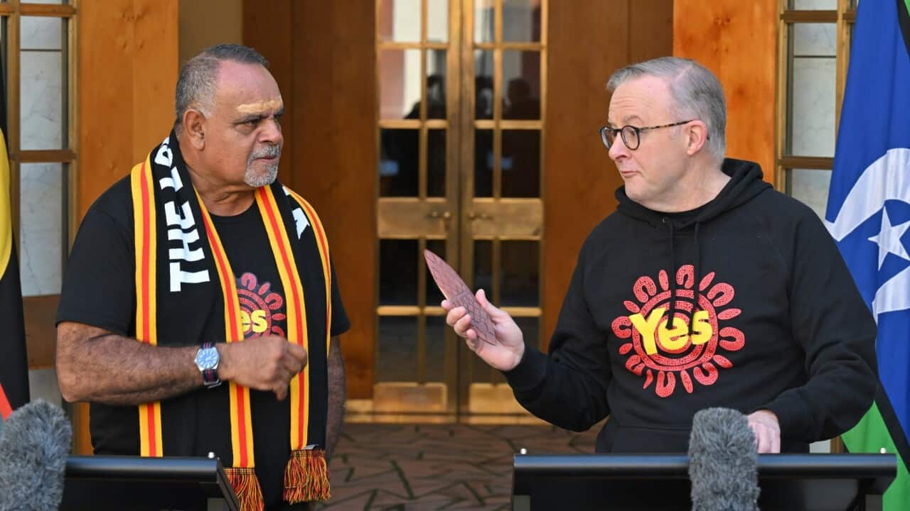 ANTHONY ALBANESE MICHAEL LONG PRESSER