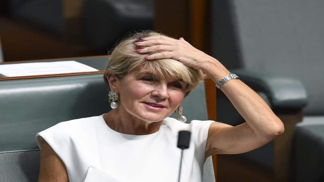 Eski Dışişleri Bakanı Julie Bishop siyasetten ayrılmaya karar verdi.