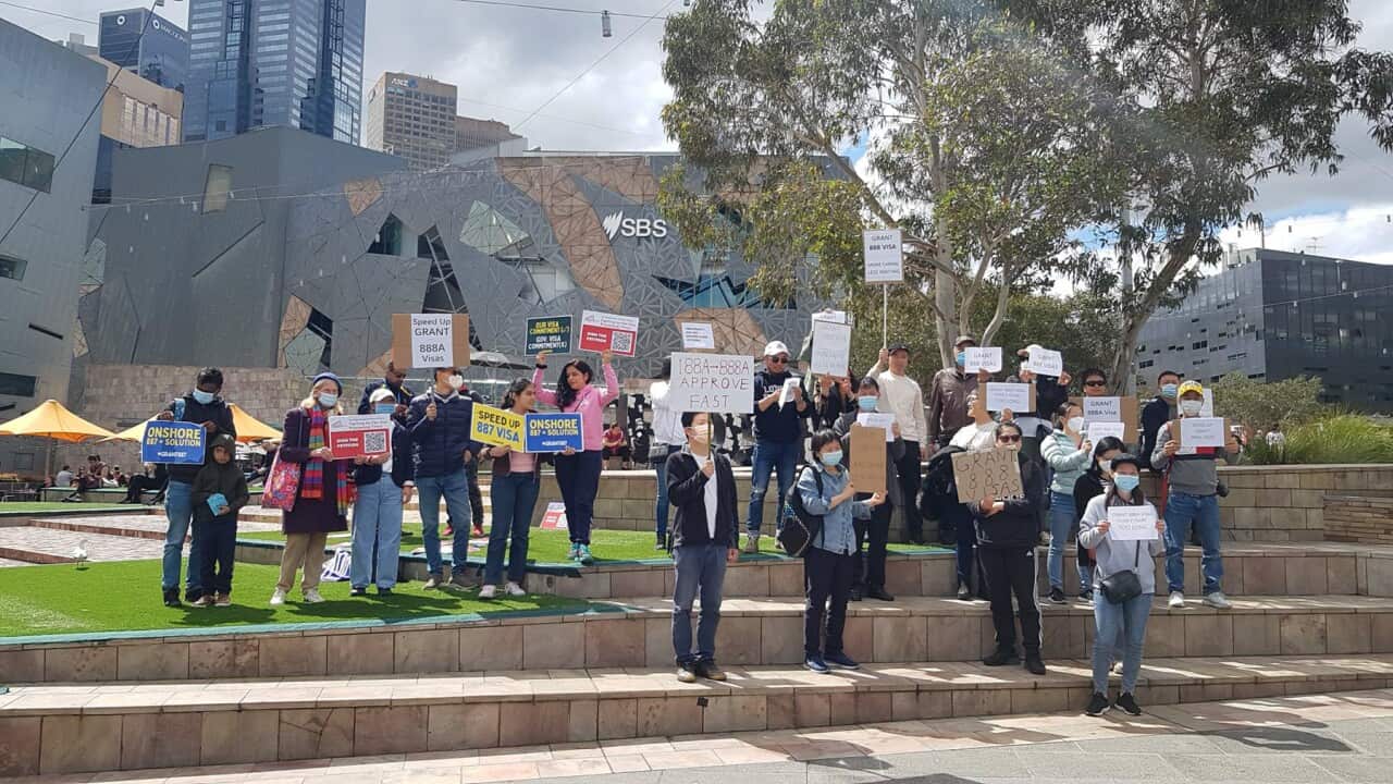 Campaigners rally against visa delays (SBS).jpg
