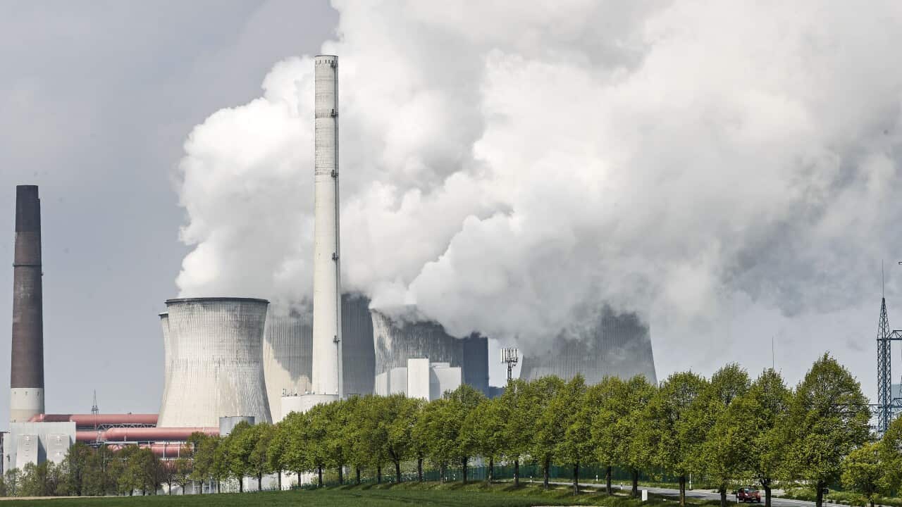 A coal-fired power plant steams on a sunny day in Neurath, Germany, Thursday, April 29, 2021.