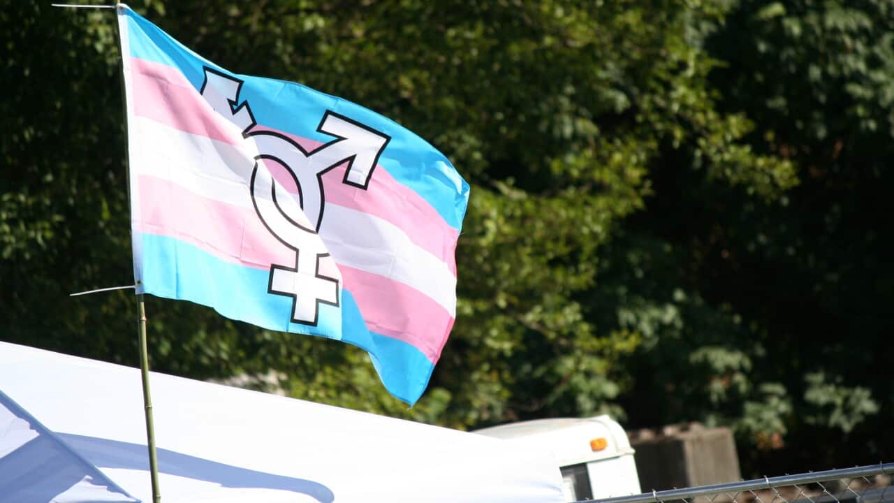 The trans flag
