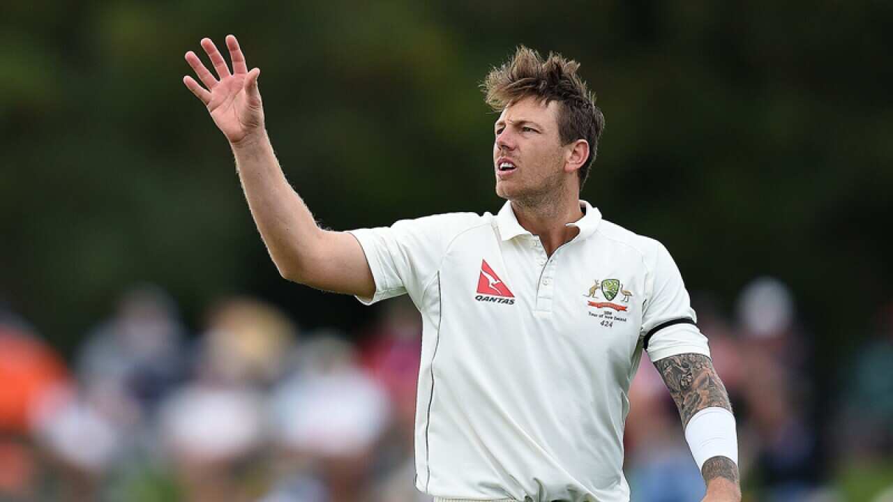 Test paceman James Pattinson