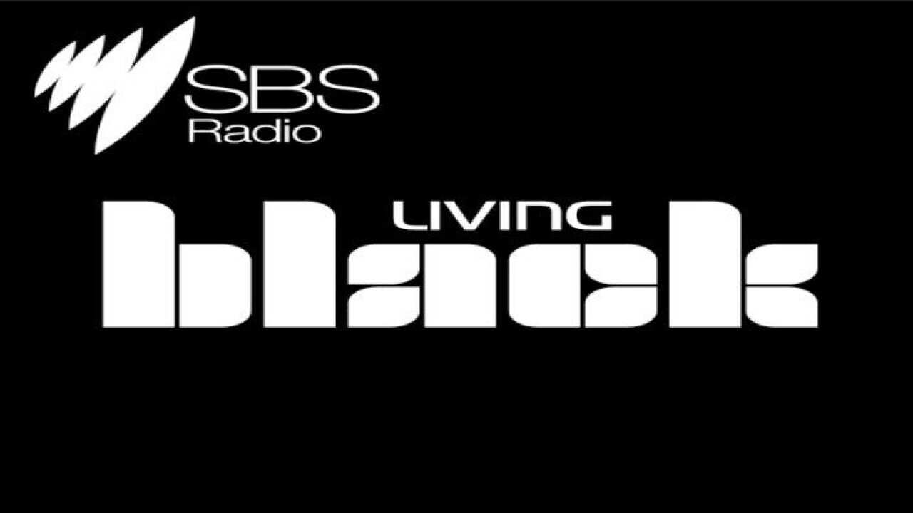 SBS Radio Living Black, Royal Commission into family violence Victoria, Hon Marcia Neave AM