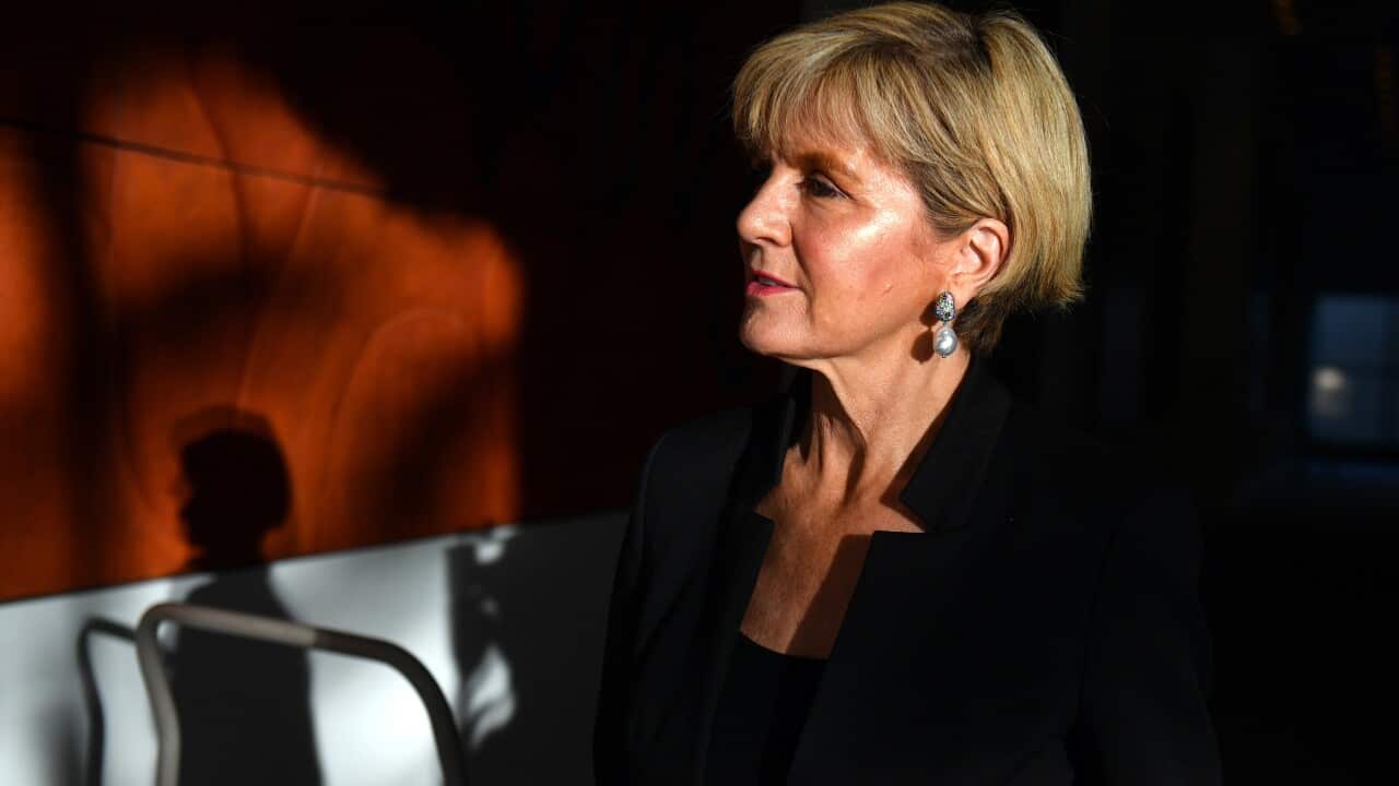 (File Image) Minister for Foreign Affairs Julie Bishop.