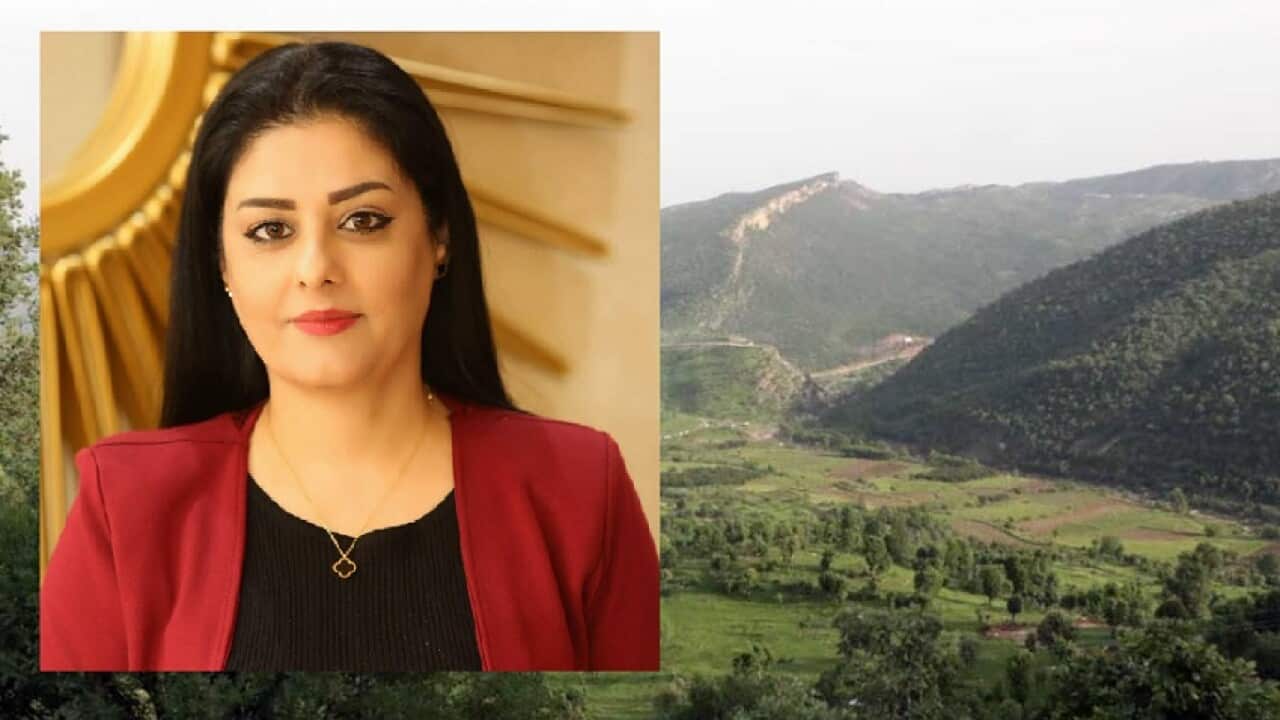 Image for read more article 'READ MORE'