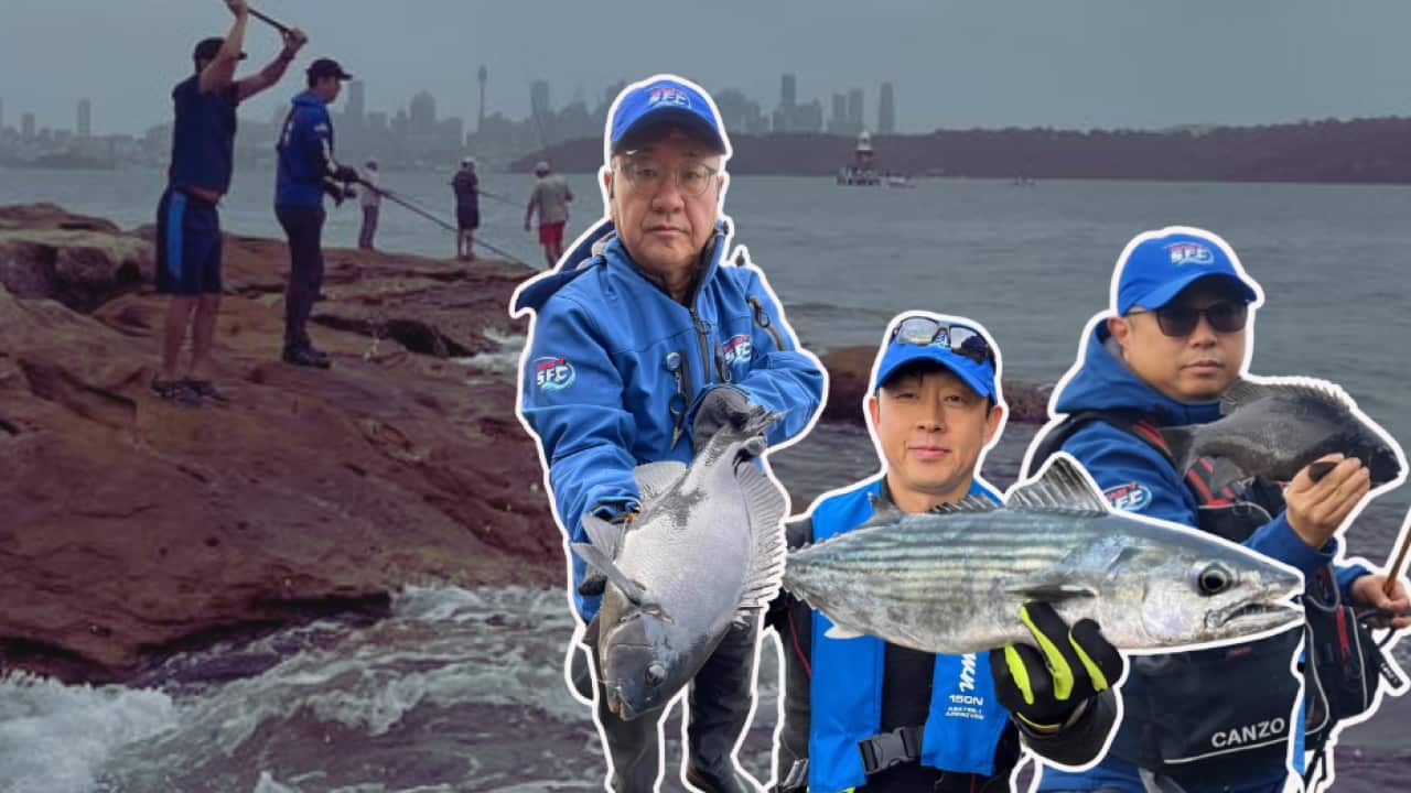 Image for read more article ''