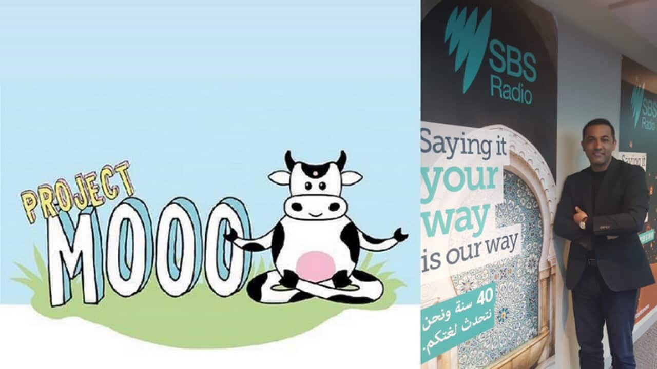 Image for read more article 'Related stories'