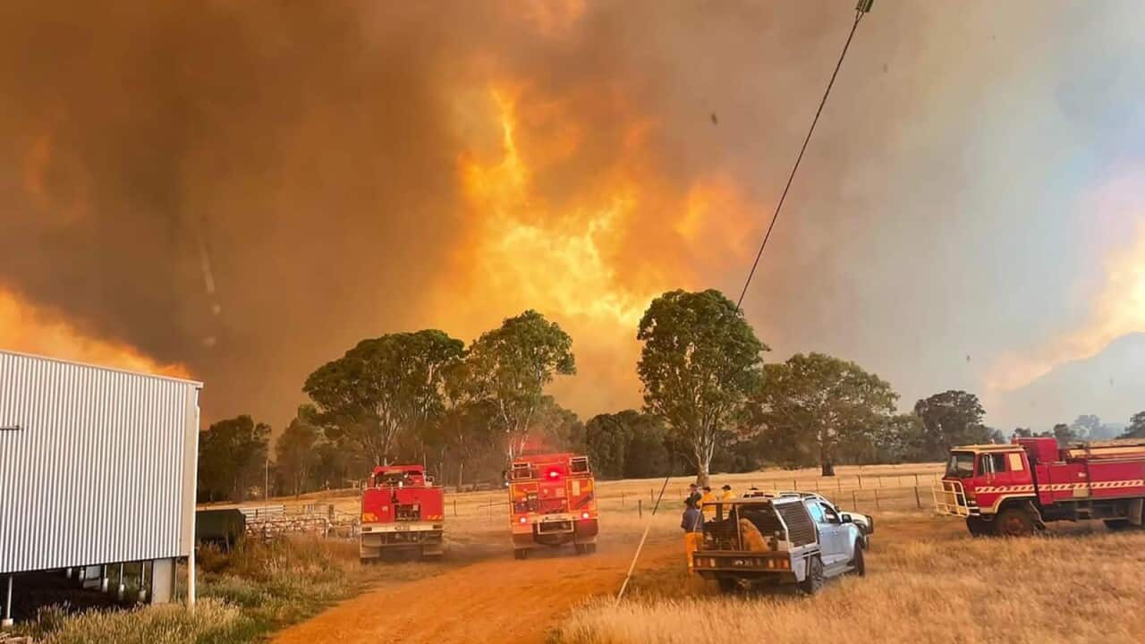 BUSHFIRES VICTORIA