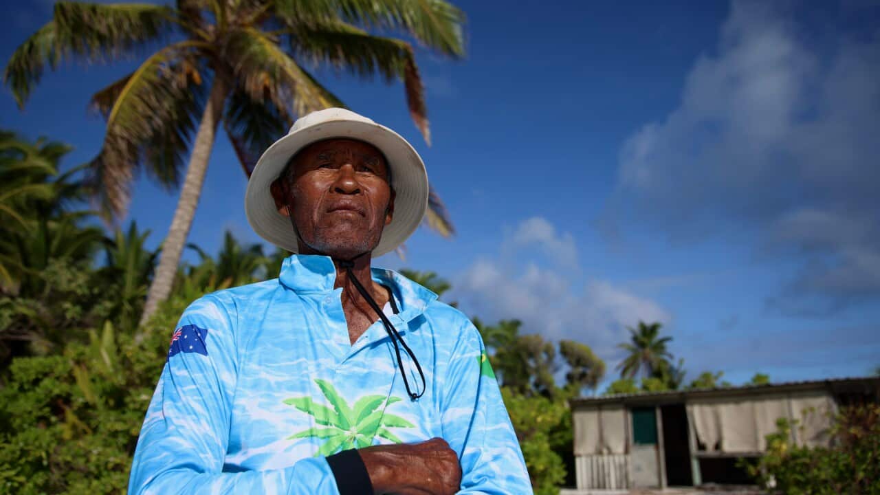 A man wearing a hat and a blue beach shirt stands beneath a tall coconut tree, his hands clasped in front.