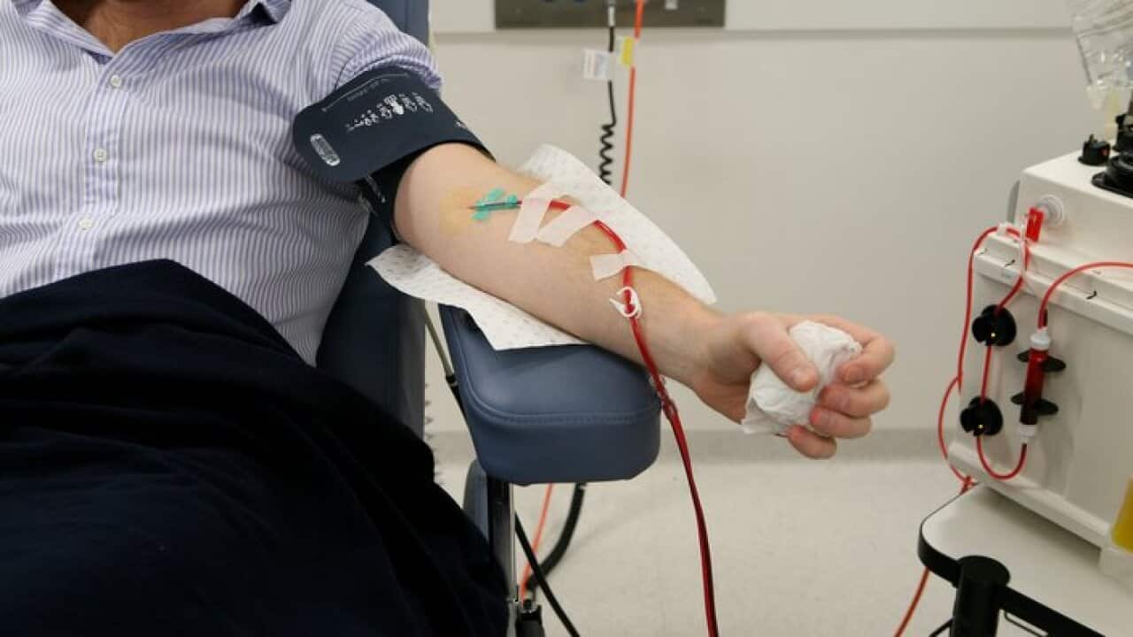 A man donates his plasma at the new Australian Red Cross Blood Service building at Town Hall in Sydney, Wednesday, June 1, 2011. (AAP Image/Angela Brkic) NO ARCHIVING
