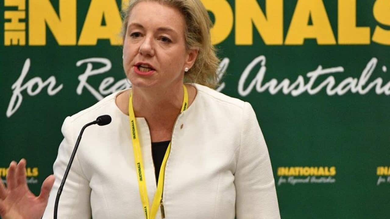 Bridget McKenzie