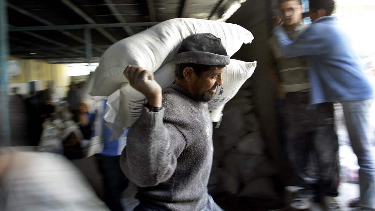 A Palestinian carries sacks of flour from the UNRWA at a warehouse in Rafah, southern Gaza Strip