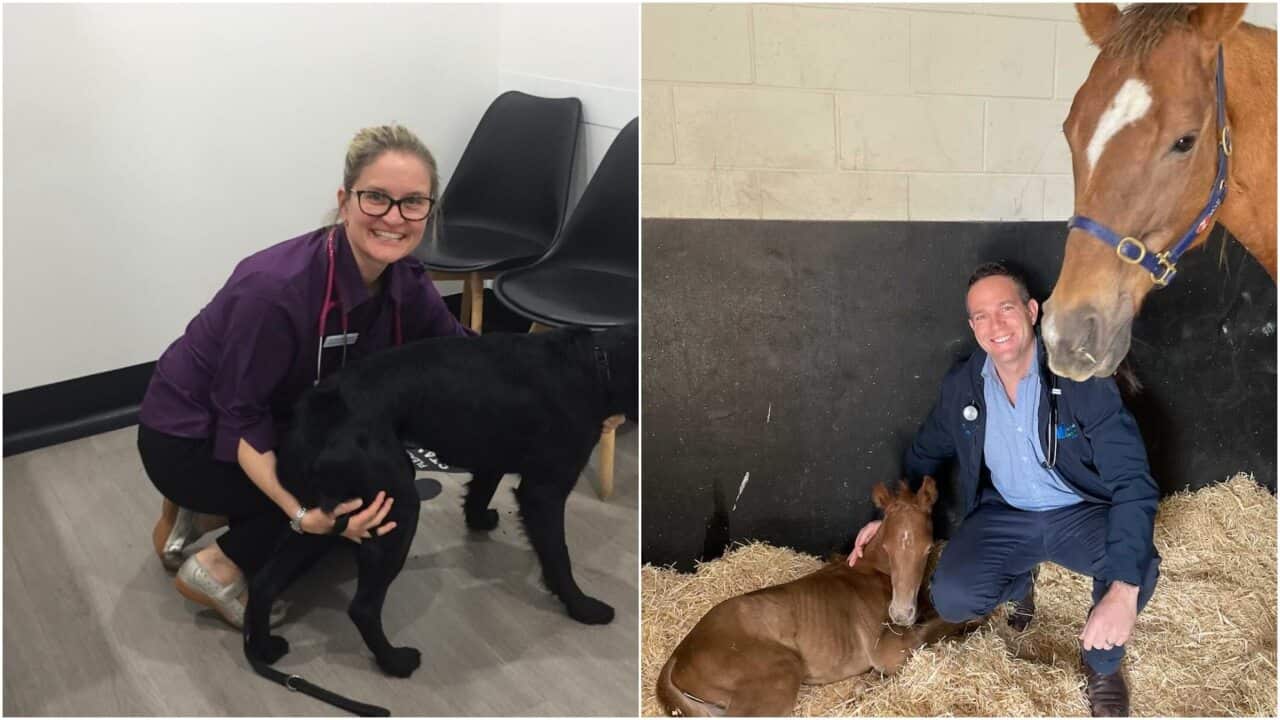 Image for read more article ''