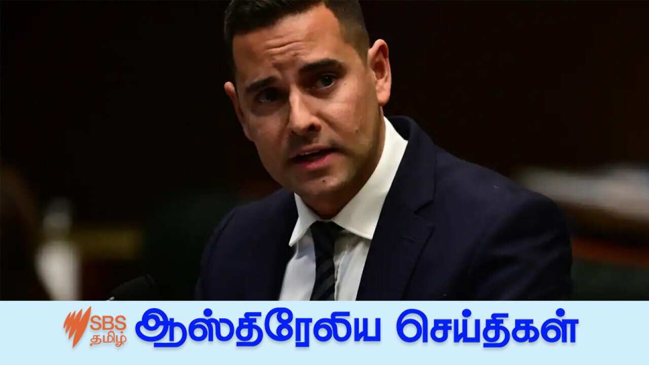 Member for Sydney Alex Greenwich.