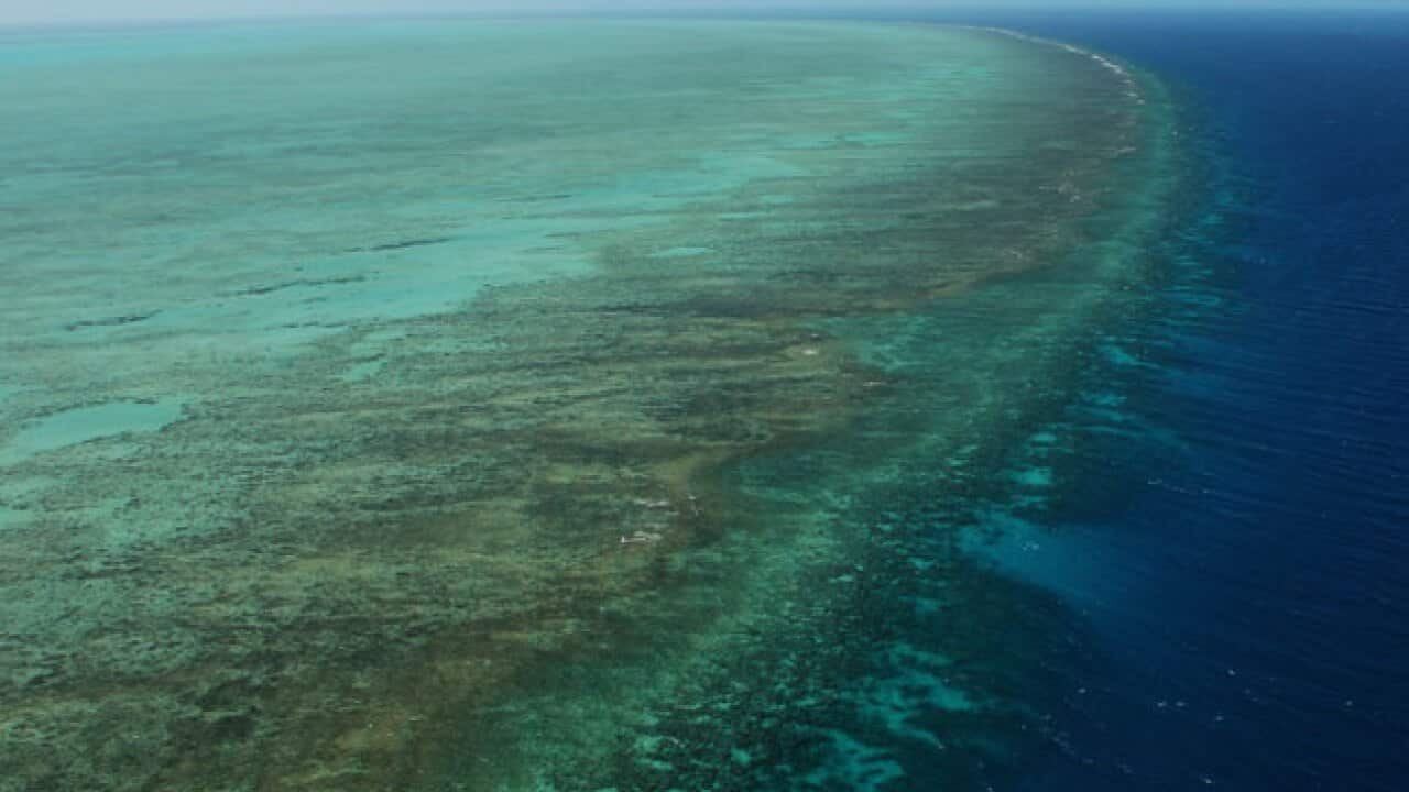 great_barrier_reef_3108_b_536069258