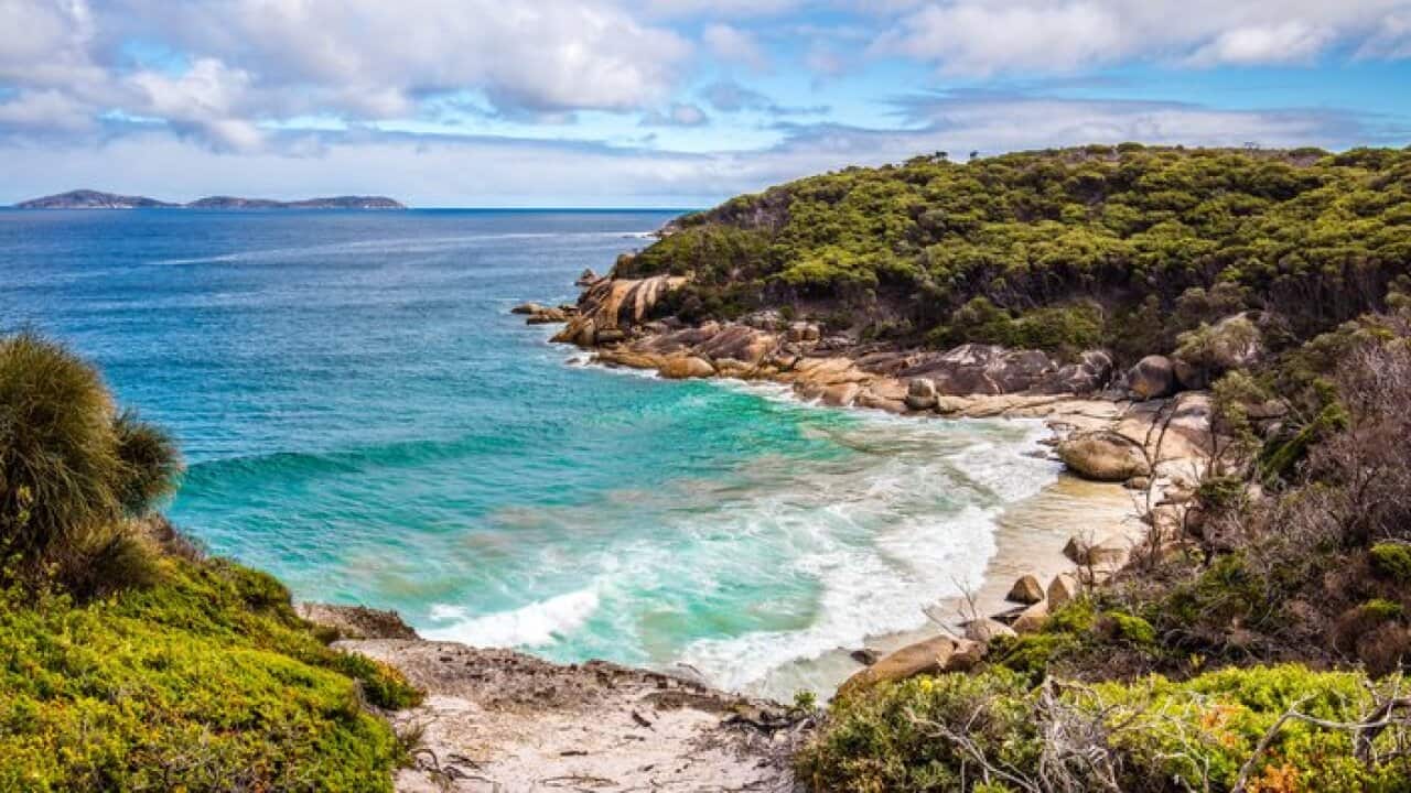 Image for read more article 'READ MORE'