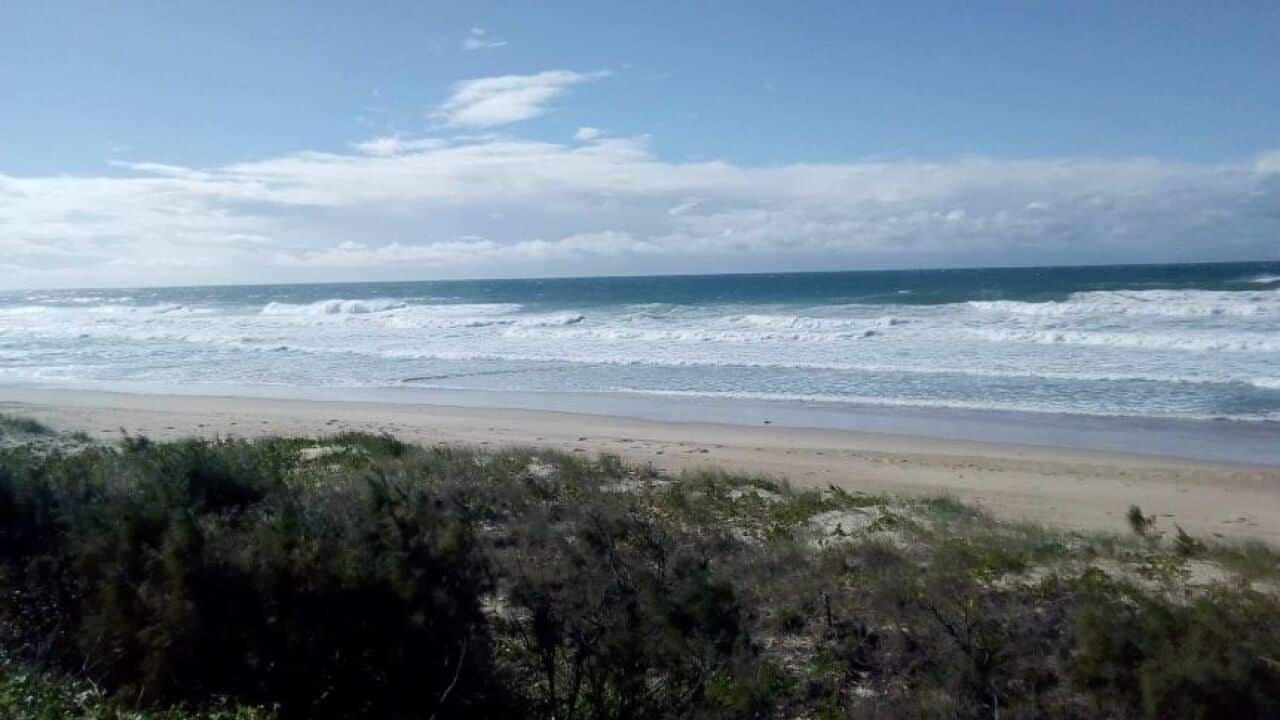 The shark attack happened at Wooli Beach.