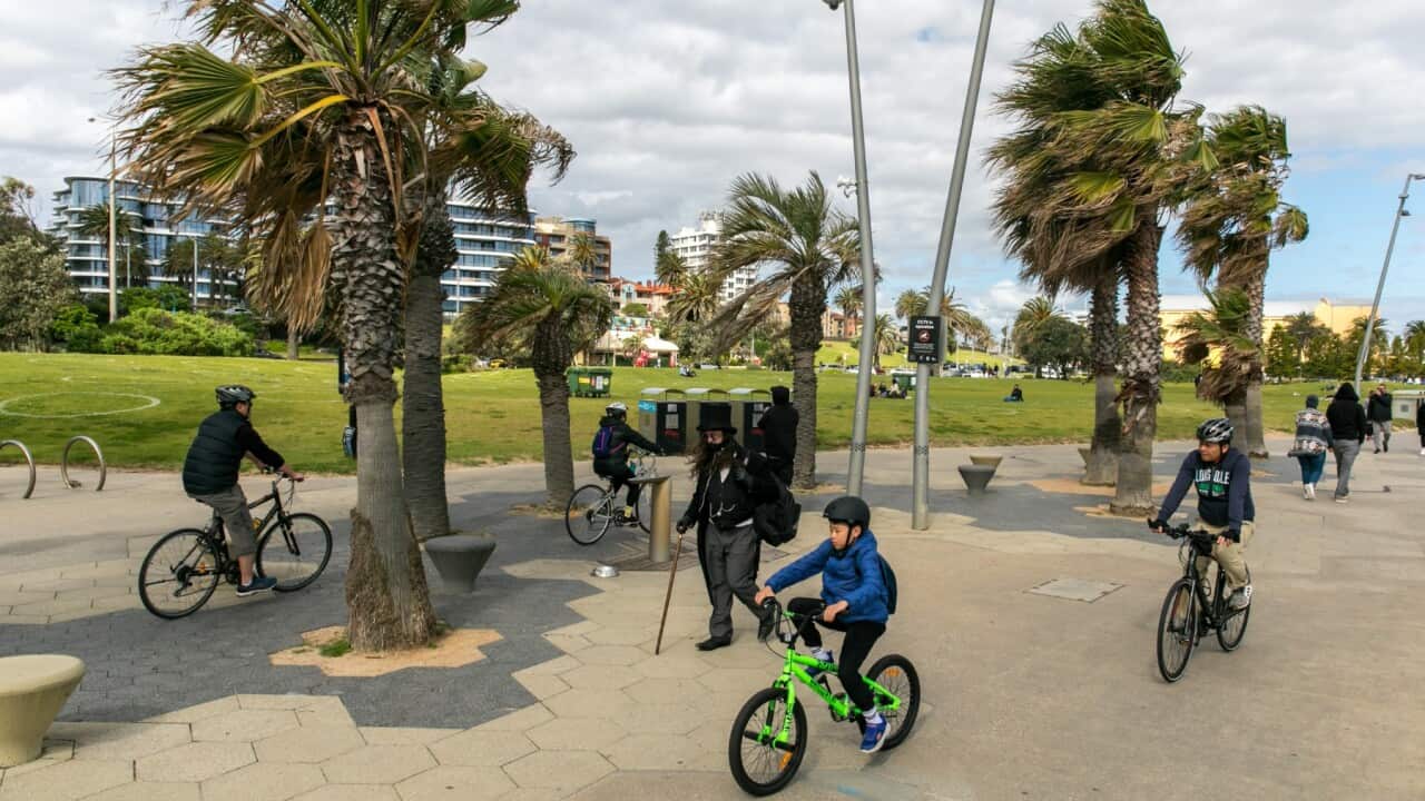 Image for reference only.