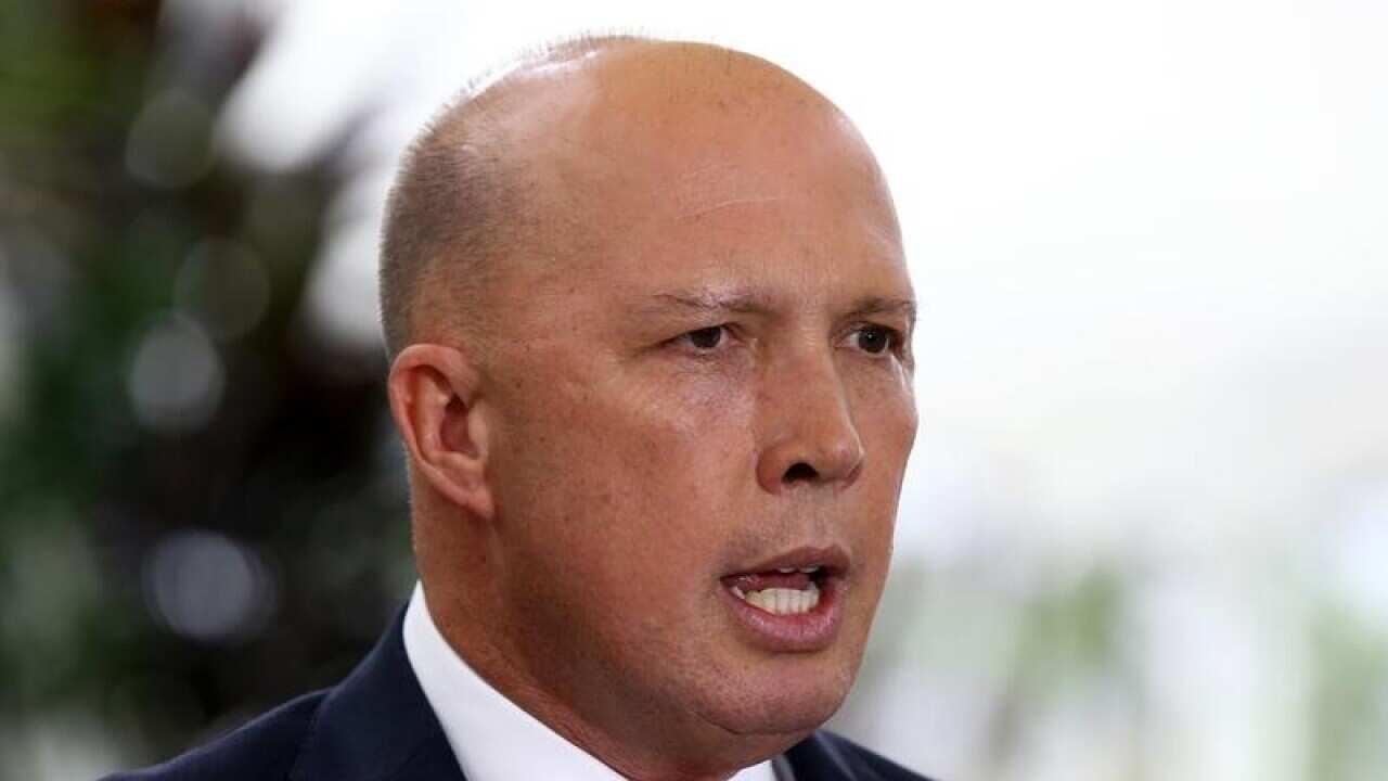 Peter Dutton's decisions while immigration minister have been singled out in a human rights report.