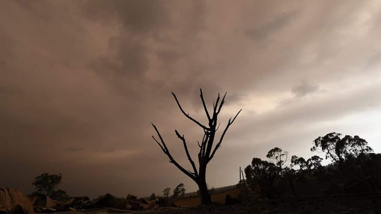 Remains of a burnt-out property that was impacted by a blaze in late December is seen at Bruthen South, Victoria.