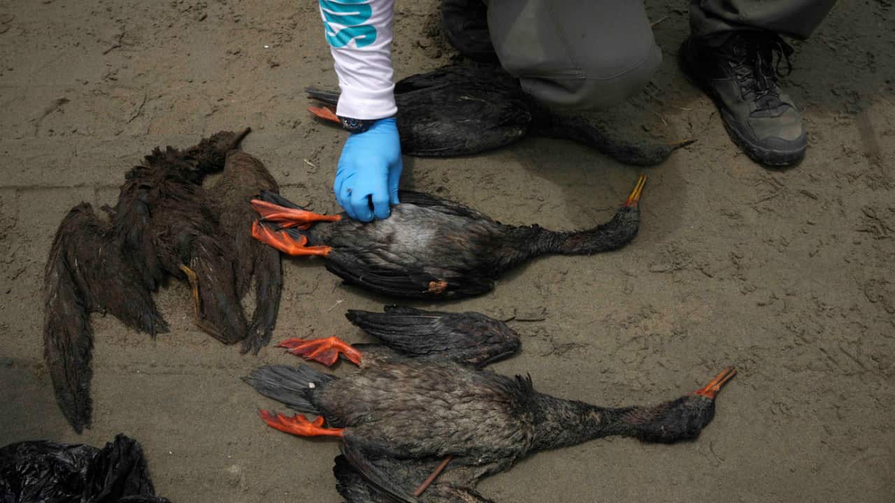 Image for read more article 'Notas anteriores:'