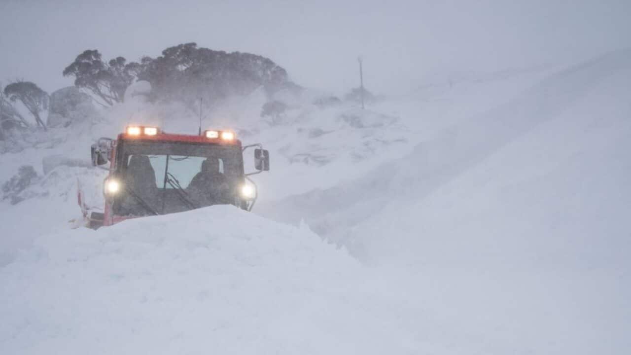 Thredbo Resort in NSW received more than 35cm of snow in one weekend last year.
