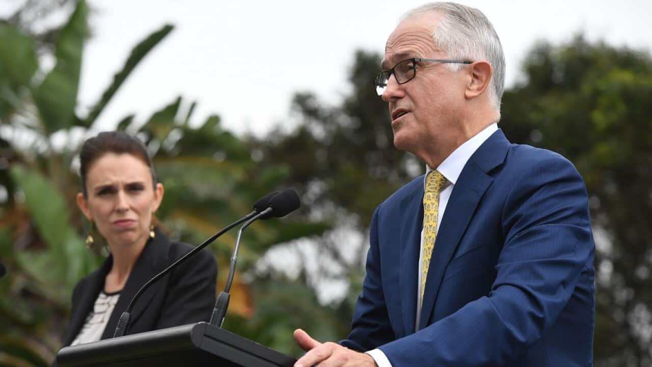 New Zealand Prime Minister Jacinda Ardern and Australian Prime Minister Malcolm Turnbull at a joint press conference at Kirribilli House.