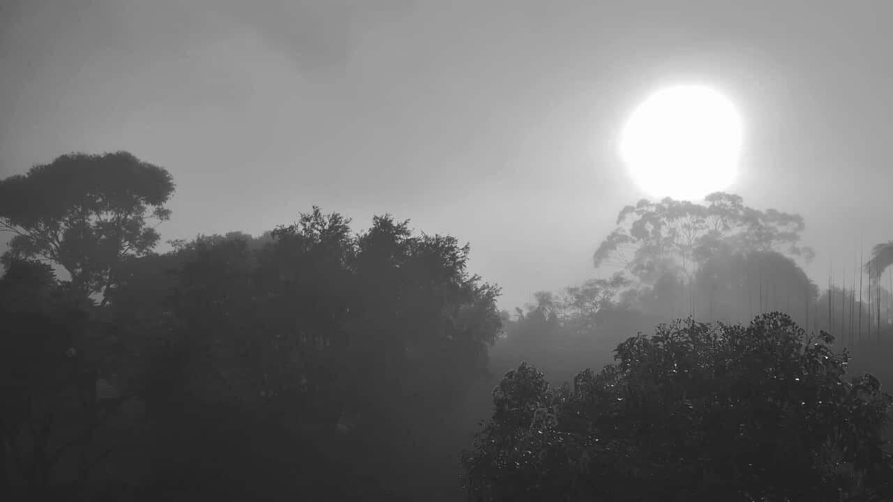 Climate