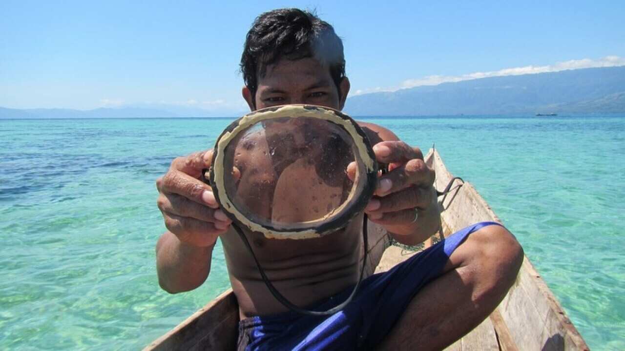 A Bajau diver with wooden mask
